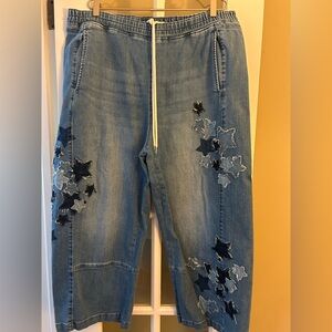 Anthropologie Pilcro pull-on drawstring embroidered star jeans sz. Xl worn 1x